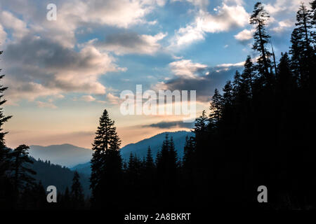 Eine Landschaft aus mineralischen König Straße im Sequoia Nationalpark (Kalifornien). Stockfoto