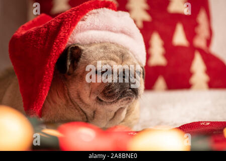 Porträt einer pug tragen ein Santa Hut auf dem Weihnachten thematische Hintergrund. Stockfoto