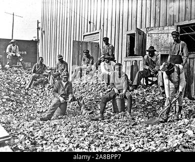 Auster Shuckers am Apalachicola, Florida Diese Arbeit wird von vielen jungen während der anstrengenden Jahreszeiten, Januar 1909 geweitermacht Stockfoto