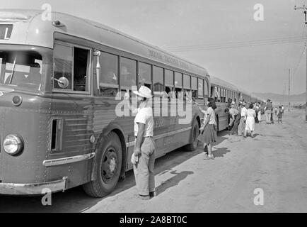 Poston, Arizona. Busse kommen die Evakuierten von japanischen Vorfahren zu diesem Krieg Relocation Authority Center die Dauer 5/23/1942 zu verbringen Stockfoto