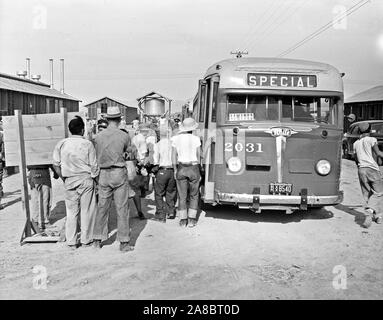 Poston, Arizona. Busse kommen die Evakuierten von japanischen Vorfahren zu diesem Krieg Relocation Authority Center die Dauer 5/23/1942 zu verbringen Stockfoto