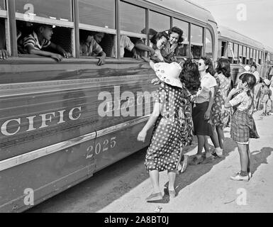 Poston, Arizona. Ankunft der Umsiedler von japanischen Vorfahren an diesem Krieg Relocation Authority center. Dies ist ein wichtiges Ereignis, als Freunde und Familien sind 5/11/1942 wieder vereint Stockfoto