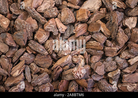 Zerfetztes Textur Stücke von natürlichen Baum Rinde close-up. Gehackte eco Hackschnitzel für dekorative Gestaltung Stockfoto