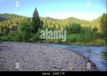 Das Flussufer mit kleinen Steinen an der Kanal durch den Wald fließt gestreut. Iogach, Altai, Sibirien, Russland. Stockfoto