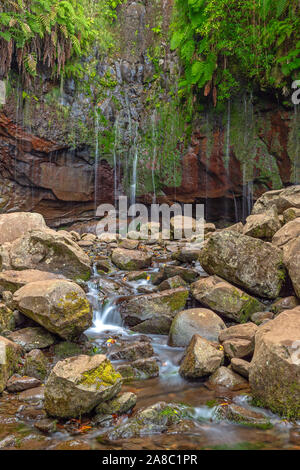 25 Quellen, 25 Fontes, Rabacal, Madeira Stockfoto