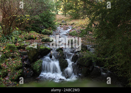 Creek mit felsigen Wasserfall in Deutscher Wald landschaft. Stockfoto