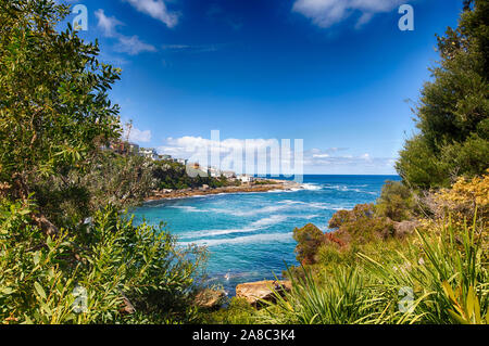 Bondi, Coogee Spaziergang in der Nähe von Gordons Bay. Berühmte Wanderweg in New South Wales, Sydney, Australien. Stockfoto