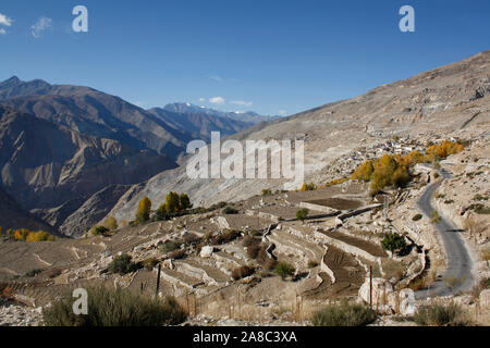 Schritt bewirtschaften an Spiti Valley, Himachal Pradesh, Indien Stockfoto