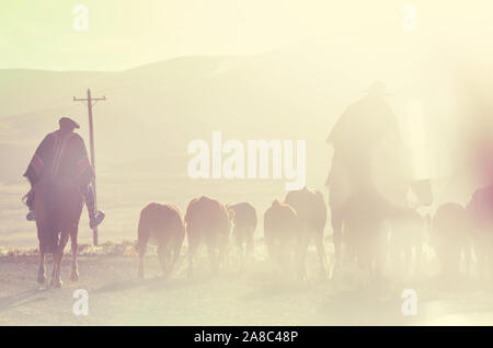 Gauchos ahd Herde von Ziegen in Patagonien, Argentinien Stockfoto