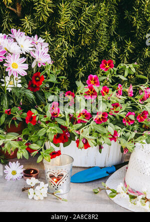 Viele verschiedene rosa Blume Blumen in Töpfe und verschiedene Gartengeräte auf Holz Tisch, mit grünen Garten bush Hintergrund. Im Garten con im Sommer Stockfoto
