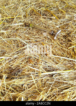 Glas Injektionsnadel ein Tierarzt auf einem Heuballen Stockfoto