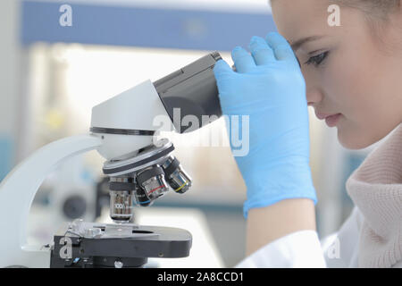 Junge weibliche männliche Wissenschaftler durch ein Mikroskop im Labor Forschung suchen, mikrobiologische Analyse, Medizin. Stockfoto