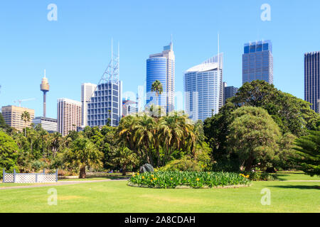 Blick auf den Central Business District von der Royal Botanical Gardens, Sydney, New South Wales, Australien Stockfoto