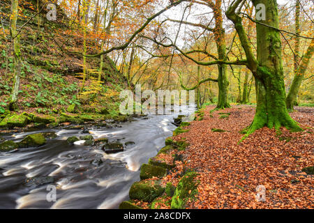 Herbst in Hardcastle Crags, Halifax, West Yorkshire Stockfoto