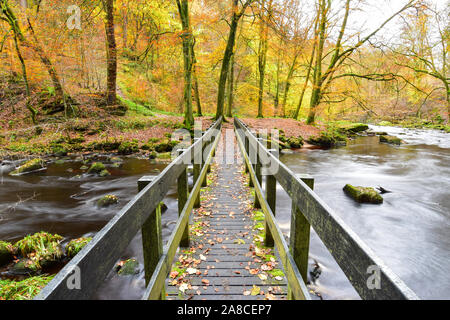 Herbst in Hardcastle Crags, Halifax, West Yorkshire Stockfoto