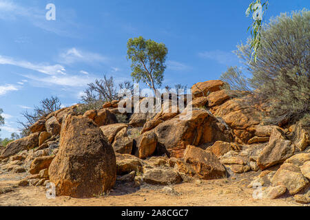 Im australischen Outback einige trockene Büsche und Gräser in der Wüste stehen Stockfoto