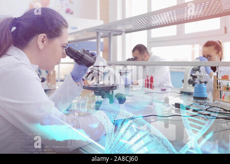 Gruppe junger Wissenschaftler im Labor Labor mit Reagenzgläsern und Mikroskopen, Test oder Forschung im klinischen Labor. Wissenschaft, Chemie, biolog Stockfoto