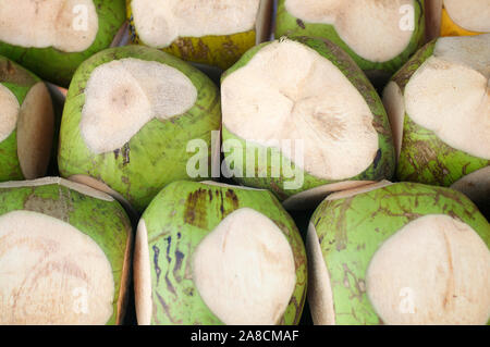 Frisch gebackene grüne Kokosnüsse werden als Kokoswasser im Freien an einem tropischen Strandschreck vorgeschnitten Stockfoto