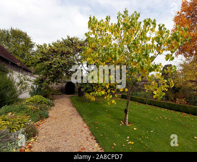 Blick auf Meister Garten, im Krankenhaus von Hl. Kreuz, Winchester Stockfoto