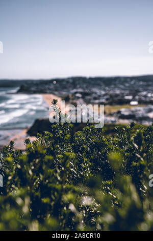 Gedenkstätte von Newcastle, NSW, Australien - 27. Oktober 2019: Newcastle Denkmal an einem hellen, sonnigen Tag zu Fuß. Stockfoto