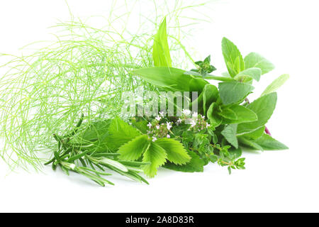 Frische grüne Kräuter auf weißem Hintergrund Stockfoto