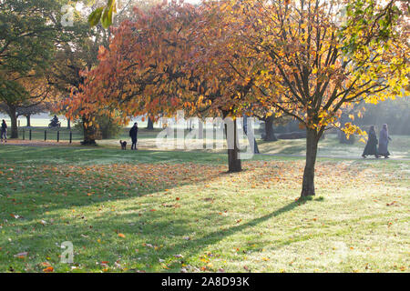 Während Regen zerstört den Norden von England, Jogger und Hund - Spaziergänger genossen einen sonnigen, aber kalten Morgen als die Blätter im Herbst einschalten Tooting Commons, London. Stockfoto