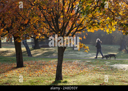 Während Regen zerstört den Norden von England, Jogger und Hund - Spaziergänger genossen einen sonnigen, aber kalten Morgen als die Blätter im Herbst einschalten Tooting Commons, London. Stockfoto