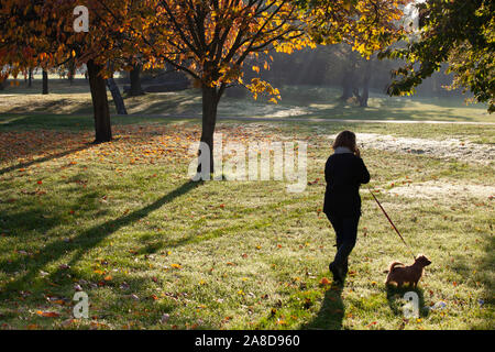 Während Regen zerstört den Norden von England, Jogger und Hund - Spaziergänger genossen einen sonnigen, aber kalten Morgen als die Blätter im Herbst einschalten Tooting Commons, London. Stockfoto