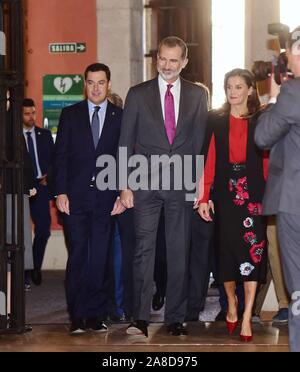 Sevilla, Spanien. 08 Nov, 2019. Spanischen König Felipe VI und Königin Letizia Treffen mit den Direktoren der Asale und Mitglieder pro Real Academia Stiftung während 16 Ausgabe von ASALE (Asociación de Academias de la Lengua Española) Kongress in Sevilla am Freitag, 08. November 2019. Credit: CORDON PRESSE/Alamy leben Nachrichten Stockfoto