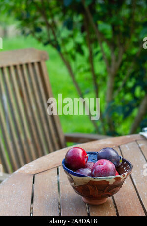 In der Nähe von dunklen roten und violetten Pflaumen in einem handgefertigte Keramik Schüssel auf einen Gartentisch mit satten grünen üppigen Gartens in Soft-Schwerpunkt im Hintergrund Stockfoto