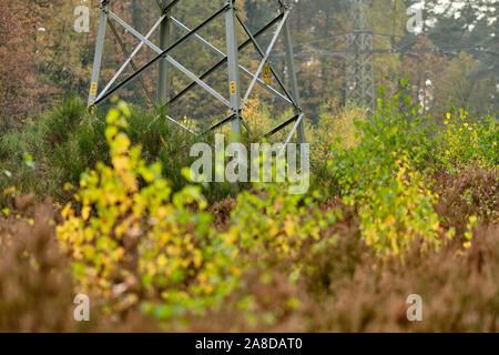 Unteren Teil eines High-voltage Pylon in herbstlicher Weg in den Wald. In Franken/Bayern, Deutschland im November gesehen. Stockfoto