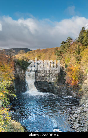 Lebendige Farben des Herbstes mit hoher Kraft Wasserfall, Obere Teesdale, Großbritannien Stockfoto