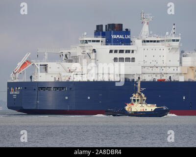 Sheerness, Kent, Großbritannien. 8. November 2019. Russische LNG-Tanker "georgij Brusilov" gesehen, die sich aus Sheerness Docks nach dem Verlassen des National Grid Grain LNG-Terminals. Grain LNG ist von strategischer nationaler Bedeutung zu den BRITISCHEN Energieinfrastruktur und ist die größte LNG-Terminal in Europa. Es hat eine neue Erhöhung der Besuche von LNG verschifft worden, da die Nachfrage nach Erdgas steigt in die kalte Jahreszeit. Credit: James Bell/Alamy leben Nachrichten Stockfoto