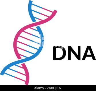 DNA-Spirale isoliert. Vector Desoxyribonukleinsäure Evolution Gen Teil. Moderne einfache mikrobiologische genetische Helix-Elementstruktur auf weißem Hintergrund Stock Vektor