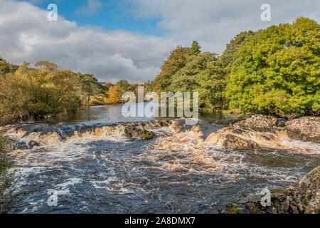 Kaskade auf dem Fluss T-Stücke in den oberen Teesdale aus der Pennine Way lange Distanz Wanderweg im Herbst Stockfoto