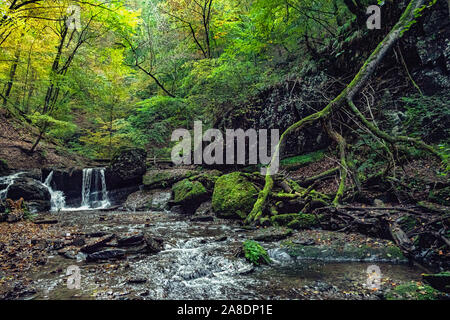 Ehrbachklamm, Deutschland, Rheinland-Pfalz, Traumschleife Stockfoto