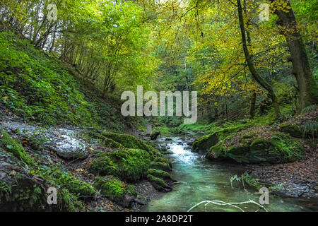 Ehrbachklamm, Deutschland, Rheinland-Pfalz, Traumschleife Stockfoto