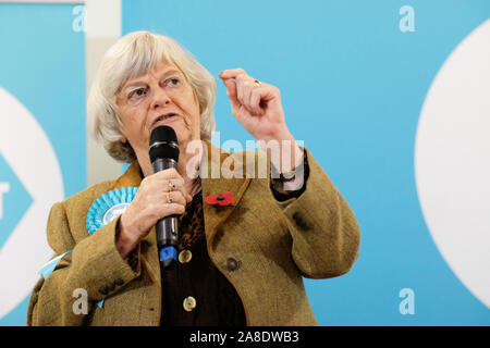 Kleine Mühle, Pontypool, Monmouthshire, Wales - Freitag, 8. November 2019 - Brexit Partei Abgeordnete Ann Widdecombe Adressen ein Publikum in der South Wales Stadt Pontypool eine starke Arbeit stimmen. Foto Steven Mai/Alamy leben Nachrichten Stockfoto