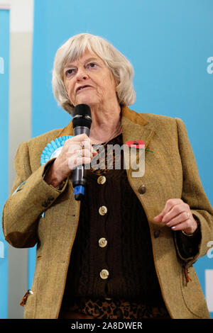 Ann Widdecombe - Little Mill, Pontypool, Monmouthshire, Wales - Freitag, 8th. November 2019 - die Europaabgeordnete der Brexit-Partei Ann Widdecombe spricht vor einer Audienz in der südwalesischen Stadt Pontypool. Foto Steven May / Alamy Live News Stockfoto