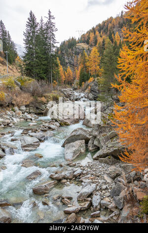 Valsavaranche Valle d'Aosta Tal von Italien im Herbst Laub Herbstfarben Berge Bäume Weinbergen Landschaft im November 2019 Alpen Reiseziel Stockfoto