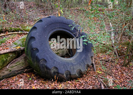 Alte LKW-Reifen im Wald Stockfoto