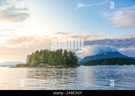 Hafen von Tofino, Vancouver Island. British Columbia, Kanada Stockfoto