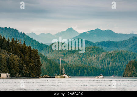 Hafen von Tofino, Vancouver Island. British Columbia, Kanada Stockfoto