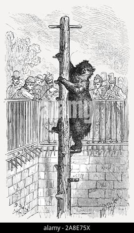 "Der Bär Pit-Zoological Gärten', 1872. Der Zoologischen Gesellschaft von London wurde von Stamford Raffles 1826 gegründet, der Londoner Zoo eröffnet zwei Jahre später. Von "IN LONDON. Eine Pilgerreise" von Gustave Dore und Blanchard Jerrold. [Grant und Co., 72-78, Turnmill Street, E.C., 1872]. Stockfoto