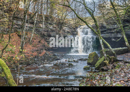 Herbstfarben im Summerhill Kraft Wasserfall und Gibson's Cave, Bug Lee Beck, Teesdale, Großbritannien Stockfoto