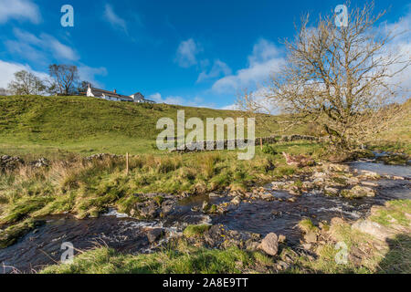 Birke Bush Farm und Ettersgill Beck, Teesdale Stockfoto