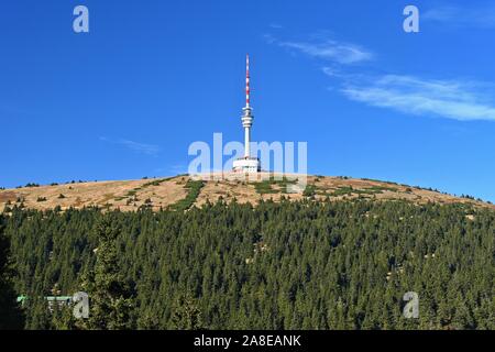 Höchster Gipfel von Mähren, Praded 1492 m. Sender und Aussichtsturm auf dem Hügel. Gesenke Tschechische Republik Stockfoto