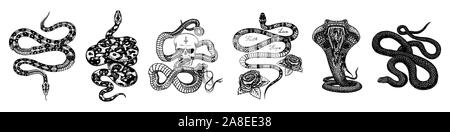 Vintage Schlange gesetzt. Skelett royal Python mit Totenkopf und Rosen, Milch Reptil mit Schwert, giftige Cobra. Giftige Viper für Poster oder ein Tattoo. Eingraviert Stock Vektor