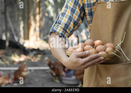 Junge Intelligenter Landwirt wear Plaid Shirt braun Schürze halten Frische Hühnereier in Warenkorb auf einer Hühnerfarm in ihm home Bereich Stockfoto