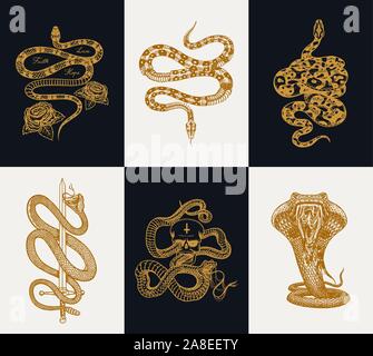 Milch Schlange mit Rosen, Skelett royal Python mit Schädel, mit Schwert Reptilien, giftige Cobra. Giftige Viper Vorlage für Poster oder ein Tattoo. Eingraviert Stock Vektor